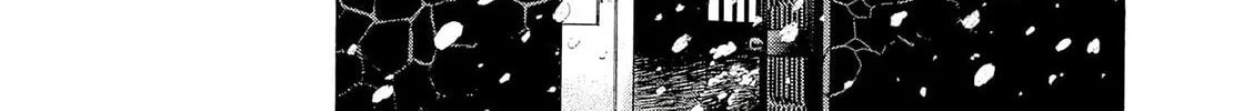 Read Birdy the Mighty Evolution chapter 62 image 13 on Lezhin