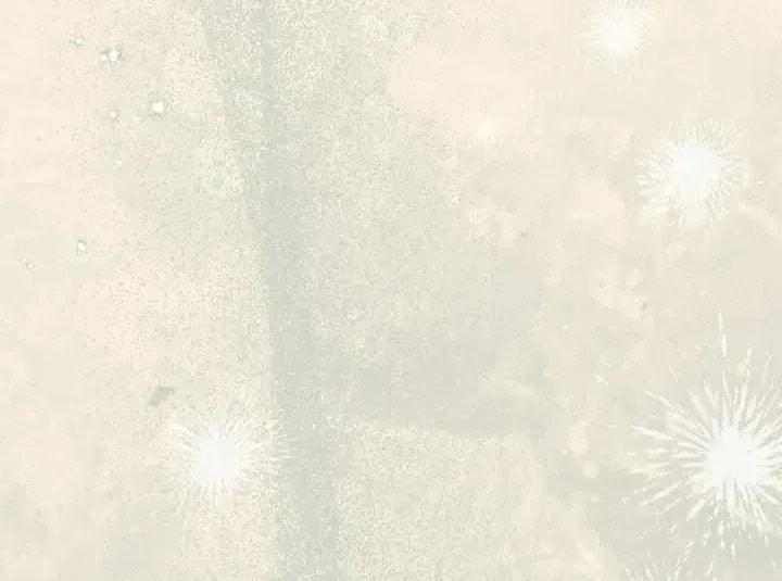 Biscuit Chapter 13 page 41 - 