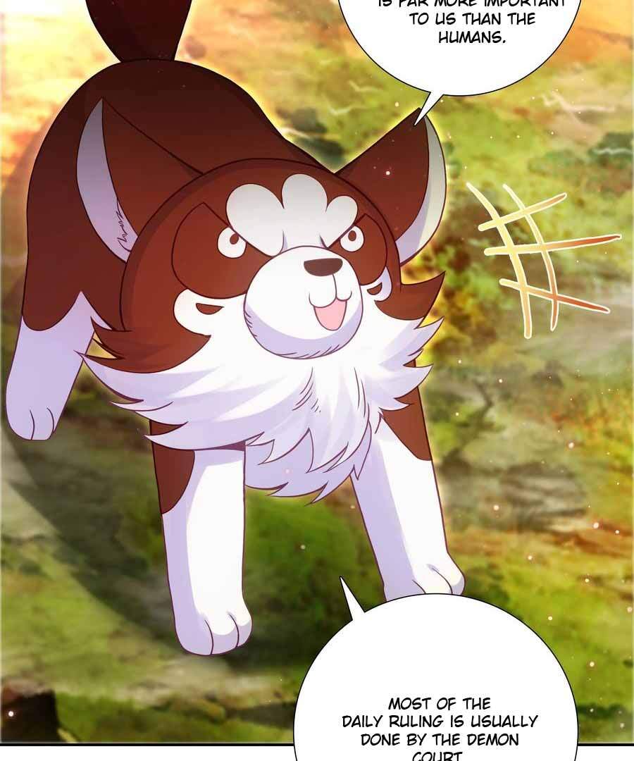 Bitch, I’m a Young Lady With Hax Chapter 271 page 5 - 