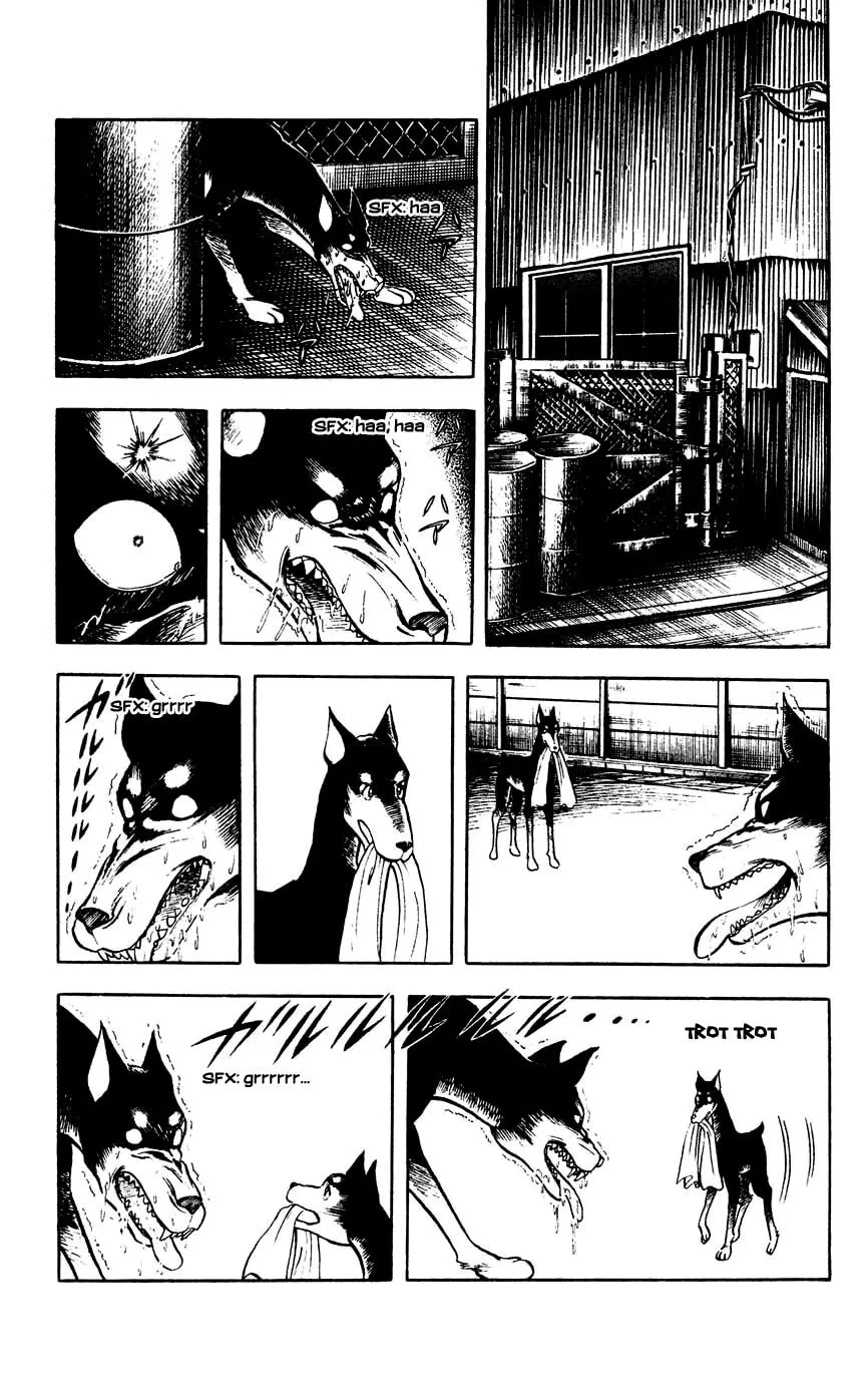 Read Black Angels chapter 19 image 34 on Lezhin