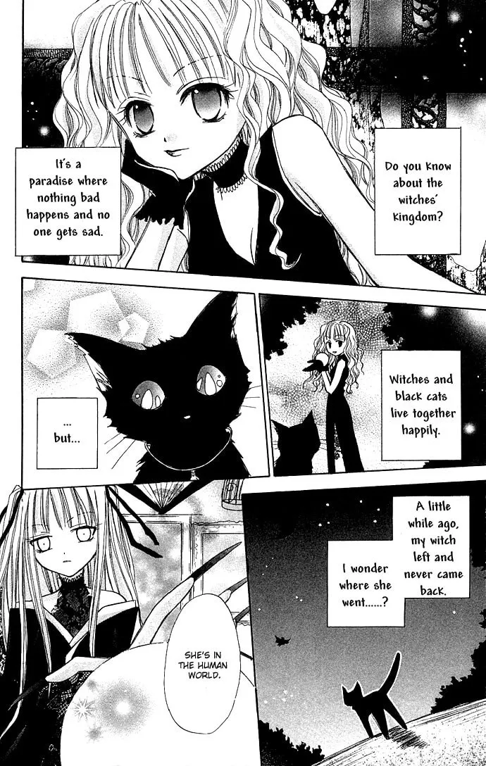 Read Black Cat