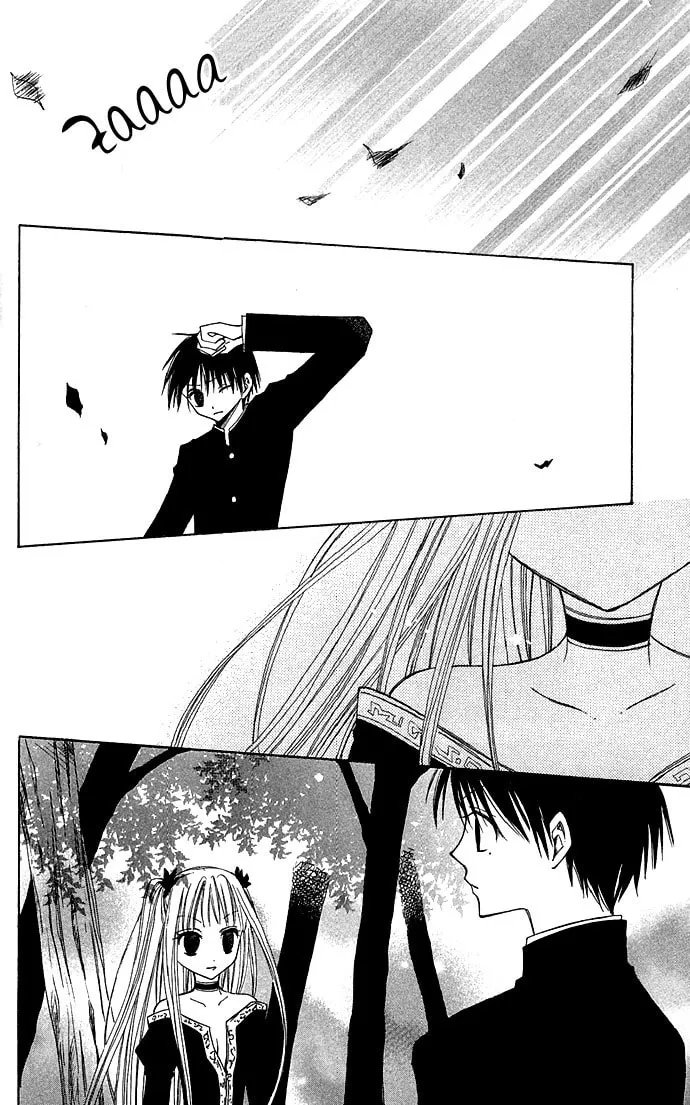 Read Black Cat