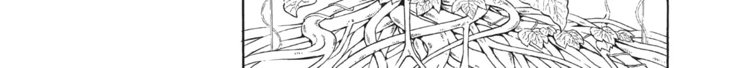 Read Black Clover chapter 12 image 21 on Lezhin
