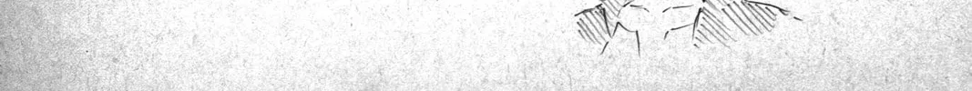 Read Black Clover chapter 16.5 image 13 on Lezhin