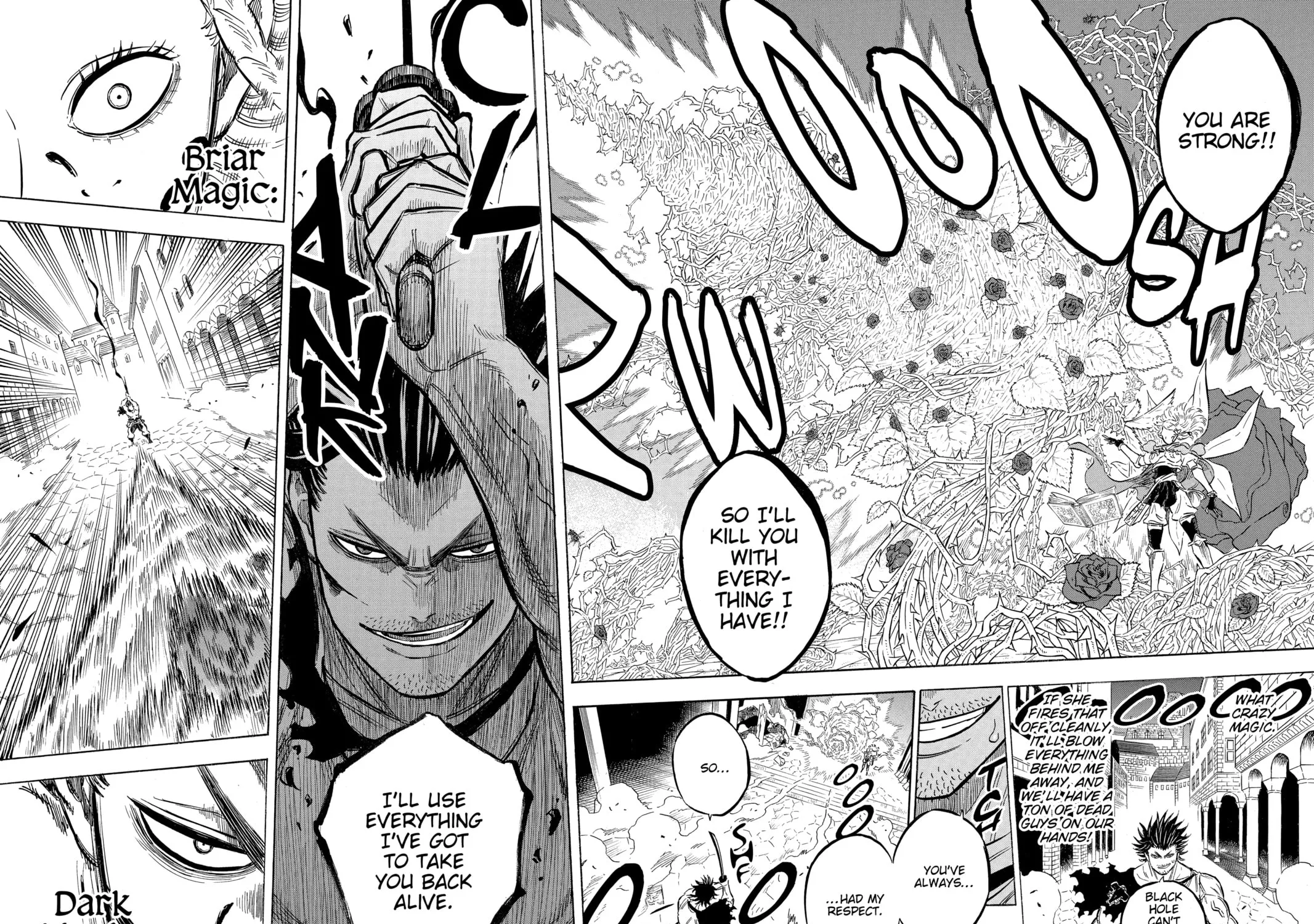Read Black Clover chapter 169 image 22 on Lezhin