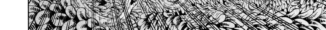 Read Black Clover chapter 209 image 3 on Lezhin