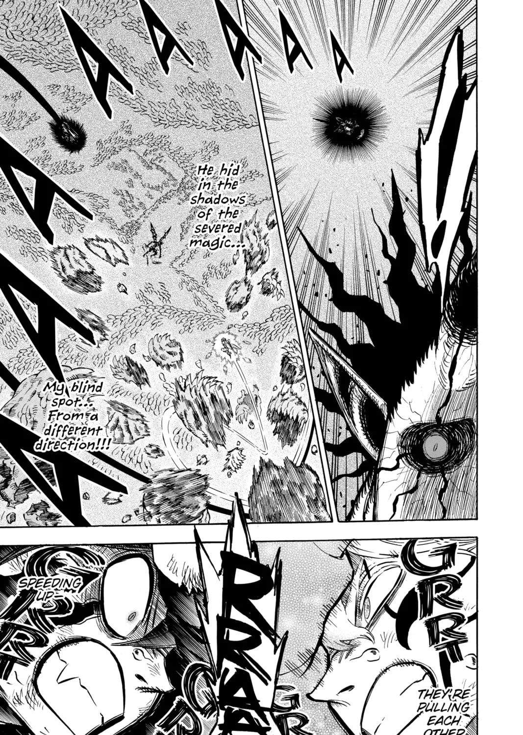 Read Black Clover chapter 211 image 14 on Lezhin