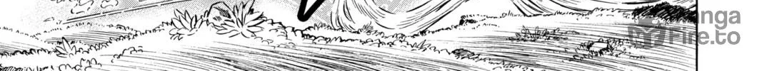 Read Black Clover chapter 250 image 19 on Lezhin