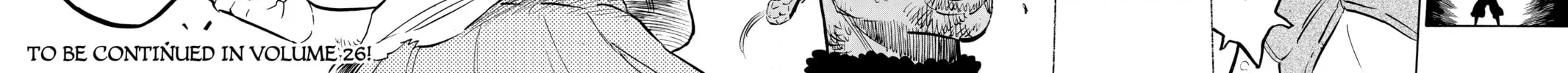 Read Black Clover chapter 250 image 25 on Lezhin