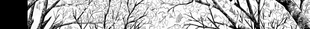 Read Black Clover chapter 278 image 21 on Lezhin
