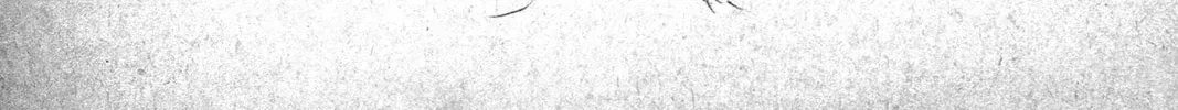 Read Black Clover chapter 34.1 image 5 on Lezhin