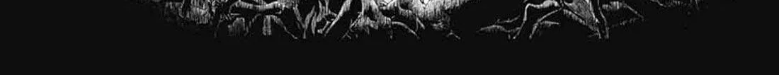 Read Black Clover chapter 370.5 image 36 on Lezhin