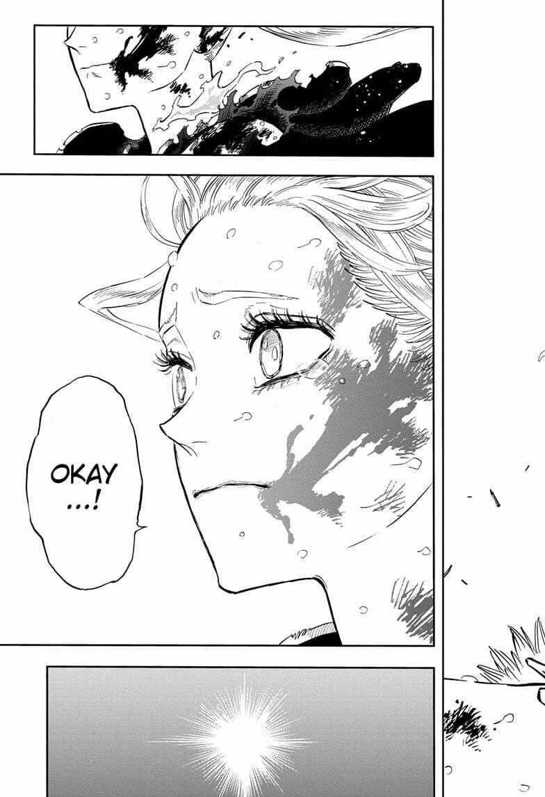 Black Clover Chapter 373 page 17 - 