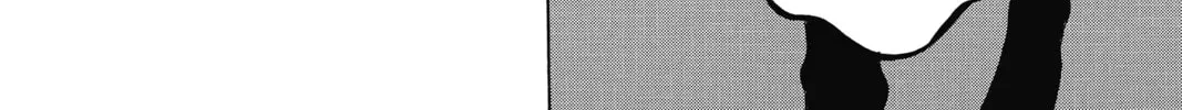 Read Black Clover chapter 42 image 31 on Lezhin