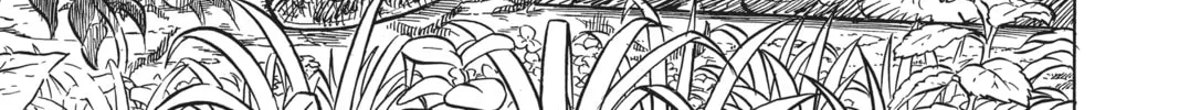 Read Black Clover chapter 96 image 33 on Lezhin