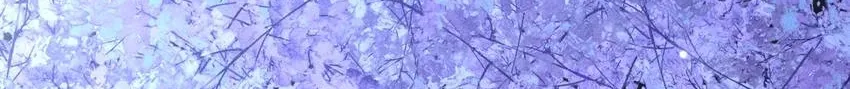 Read Black Lotus chapter 180 image 6 on Lezhin