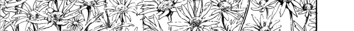 Read Black Museum Springald chapter 6 image 45 on Lezhin