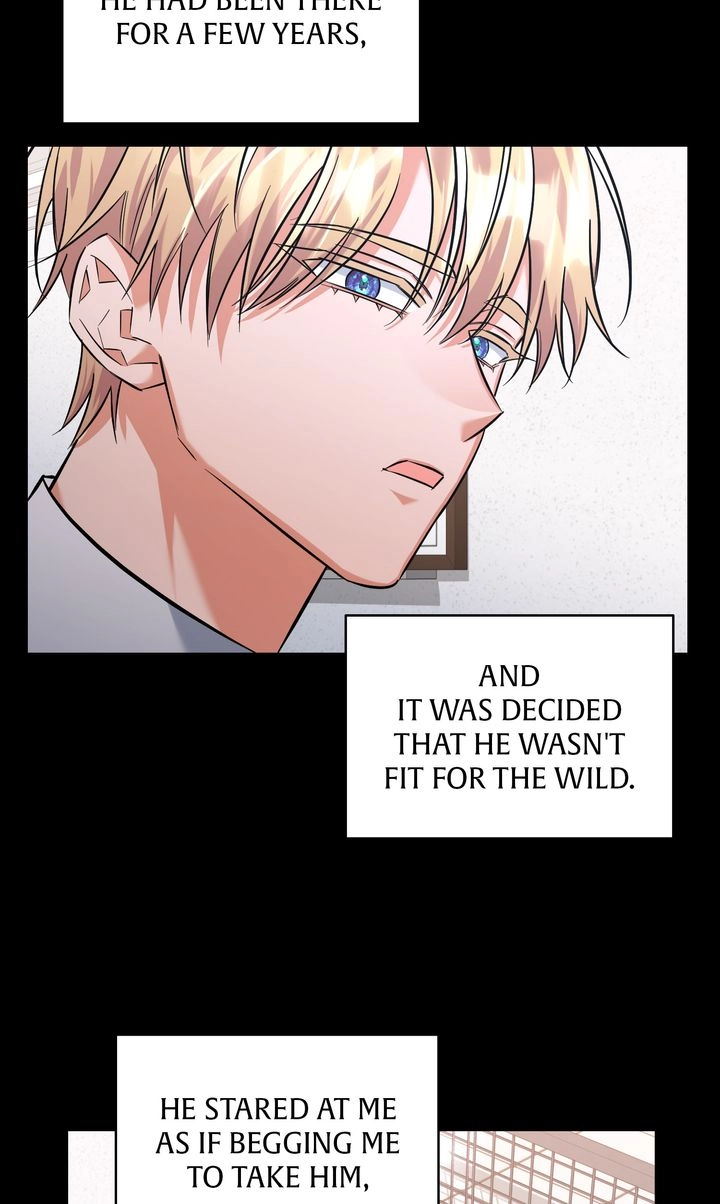 Read Black Storm chapter 24 image 32 on Lezhin