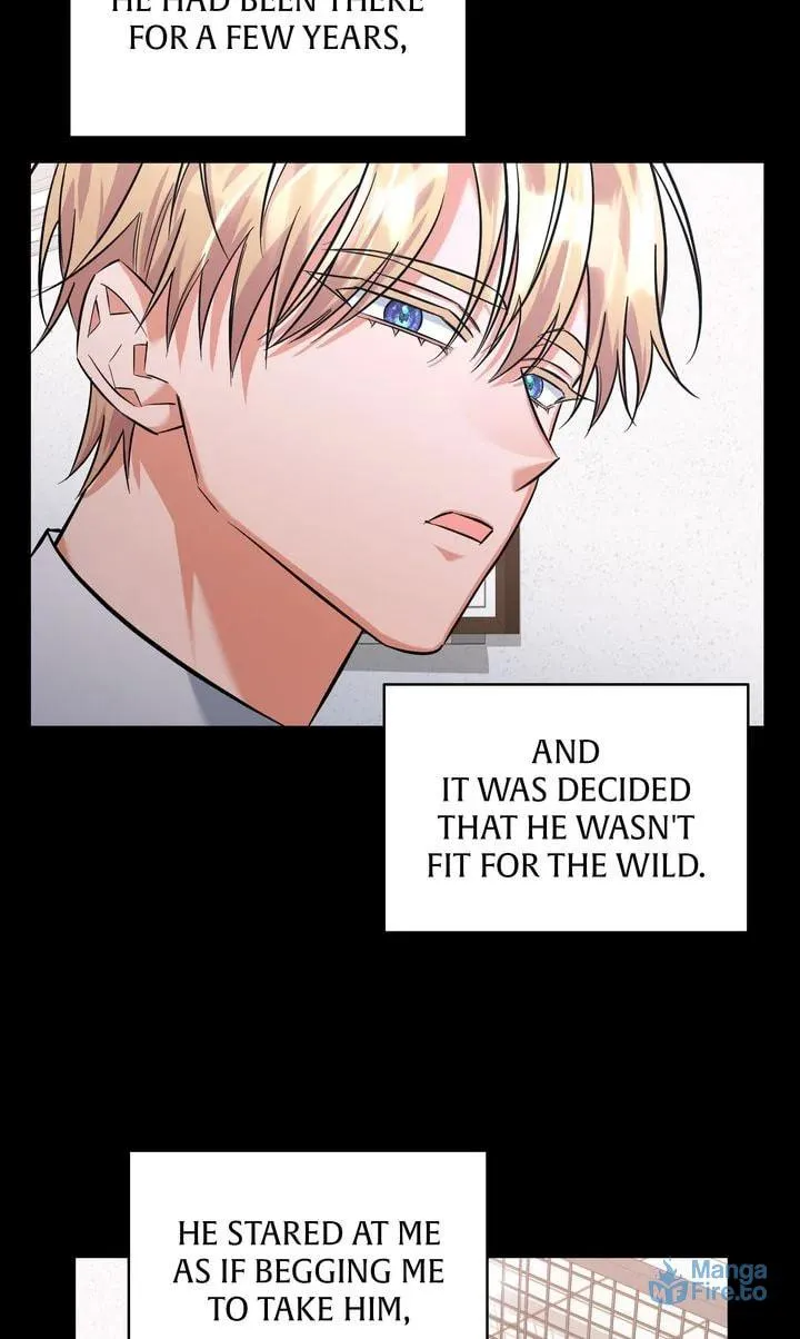 Read Black Storm chapter 83 image 32 on Lezhin