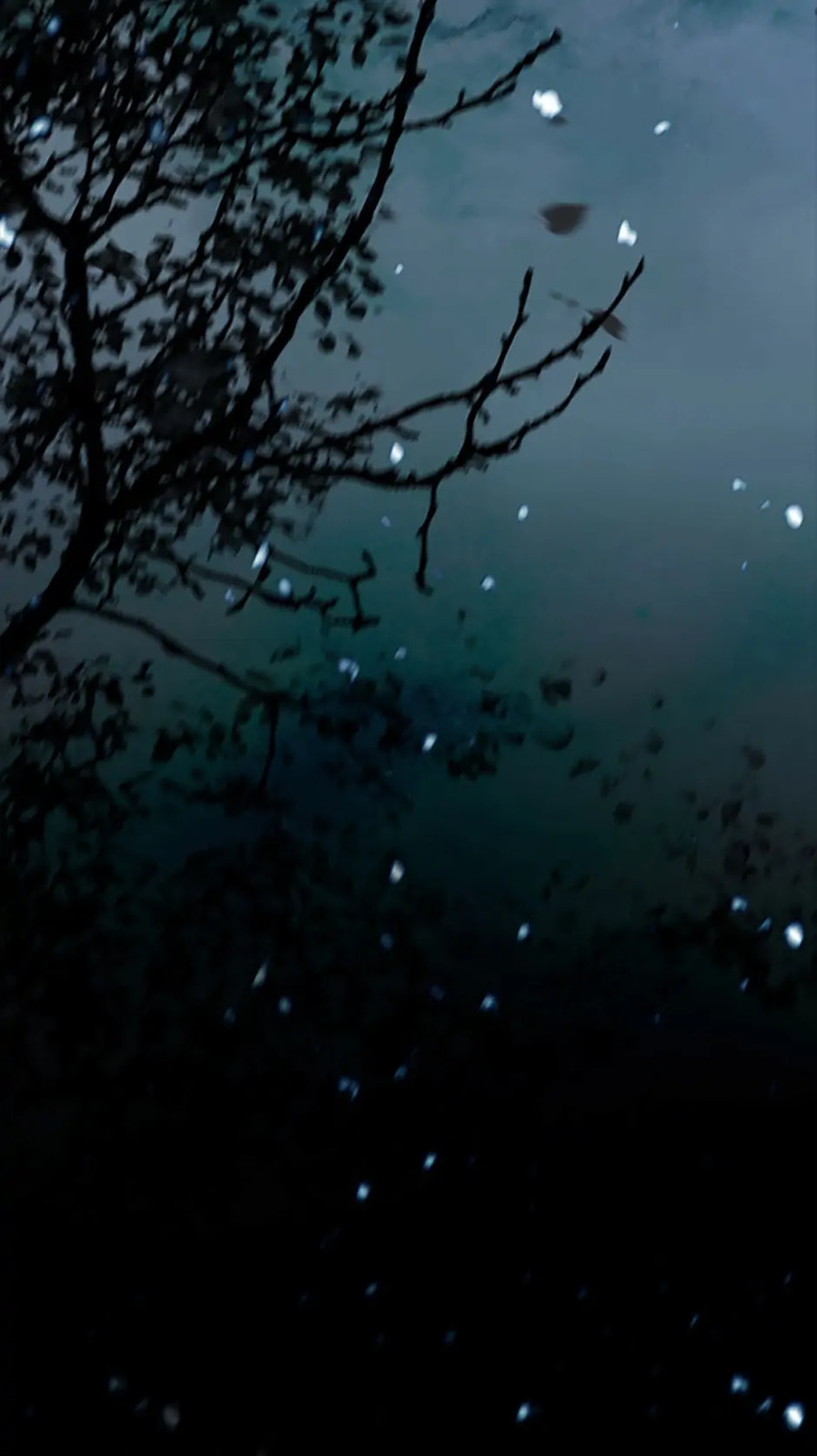 Read Black Winter chapter 9.4 image 27 on Lezhin