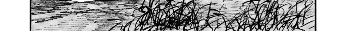 Blade of the Immortal Chapter 184 page 56 - 