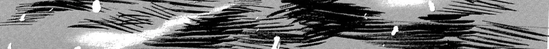 Blade of the Immortal Chapter 204 page 58 - 