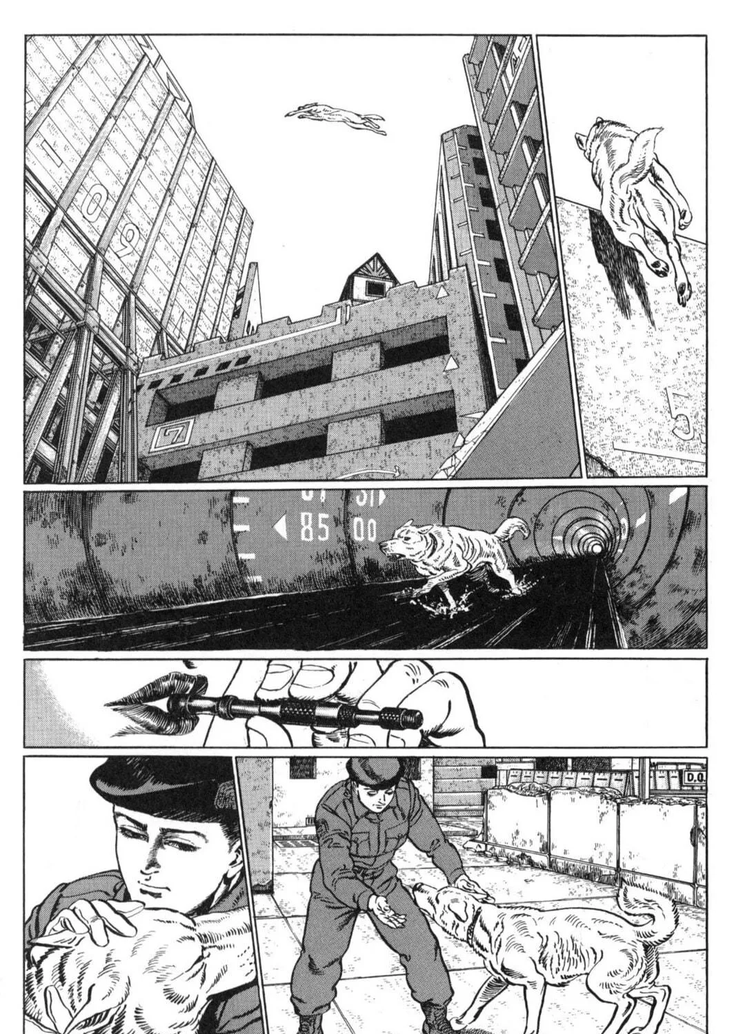 Read Blanca chapter 6 image 10 on Lezhin