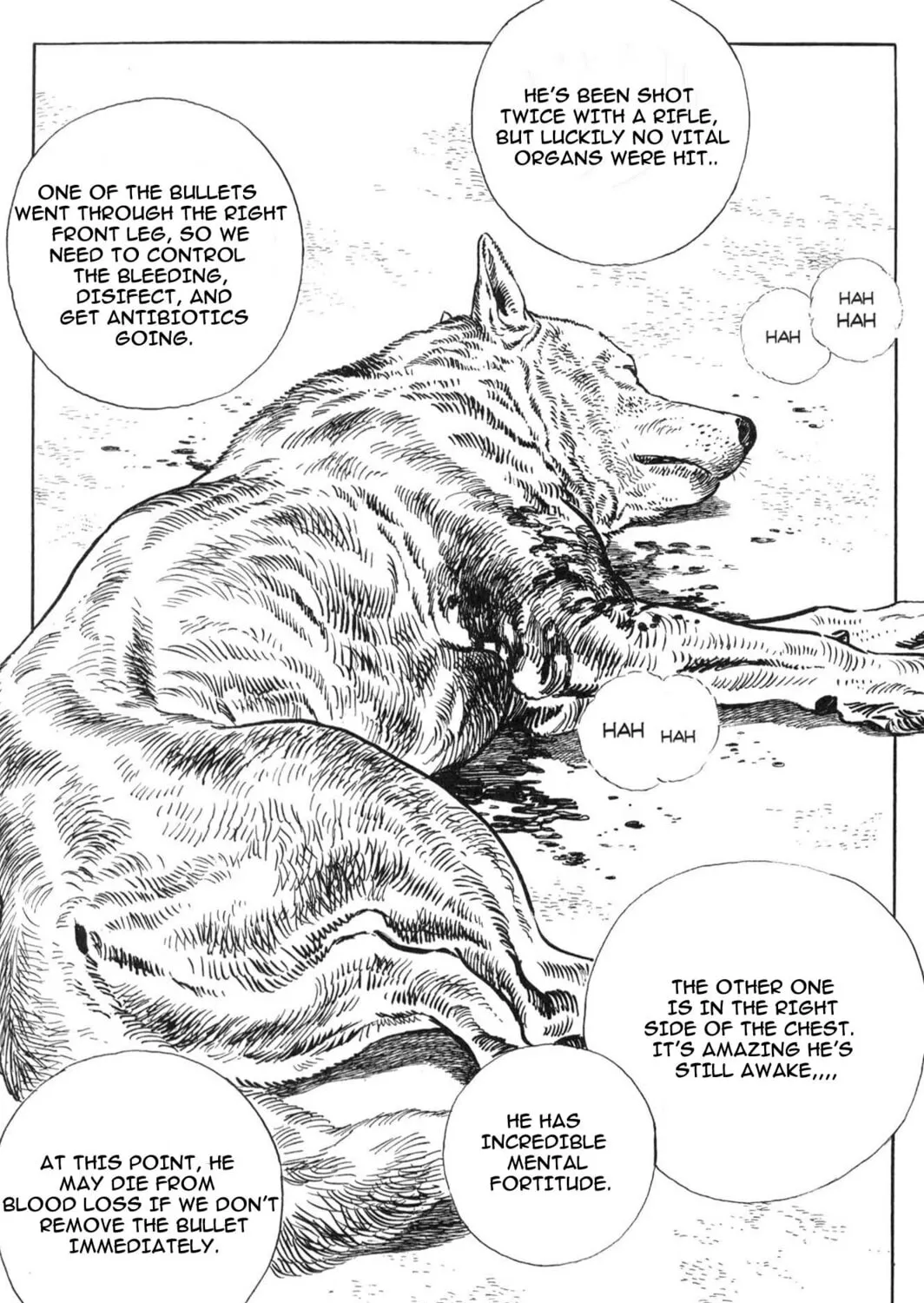 Read Blanca chapter 8 image 2 on Lezhin