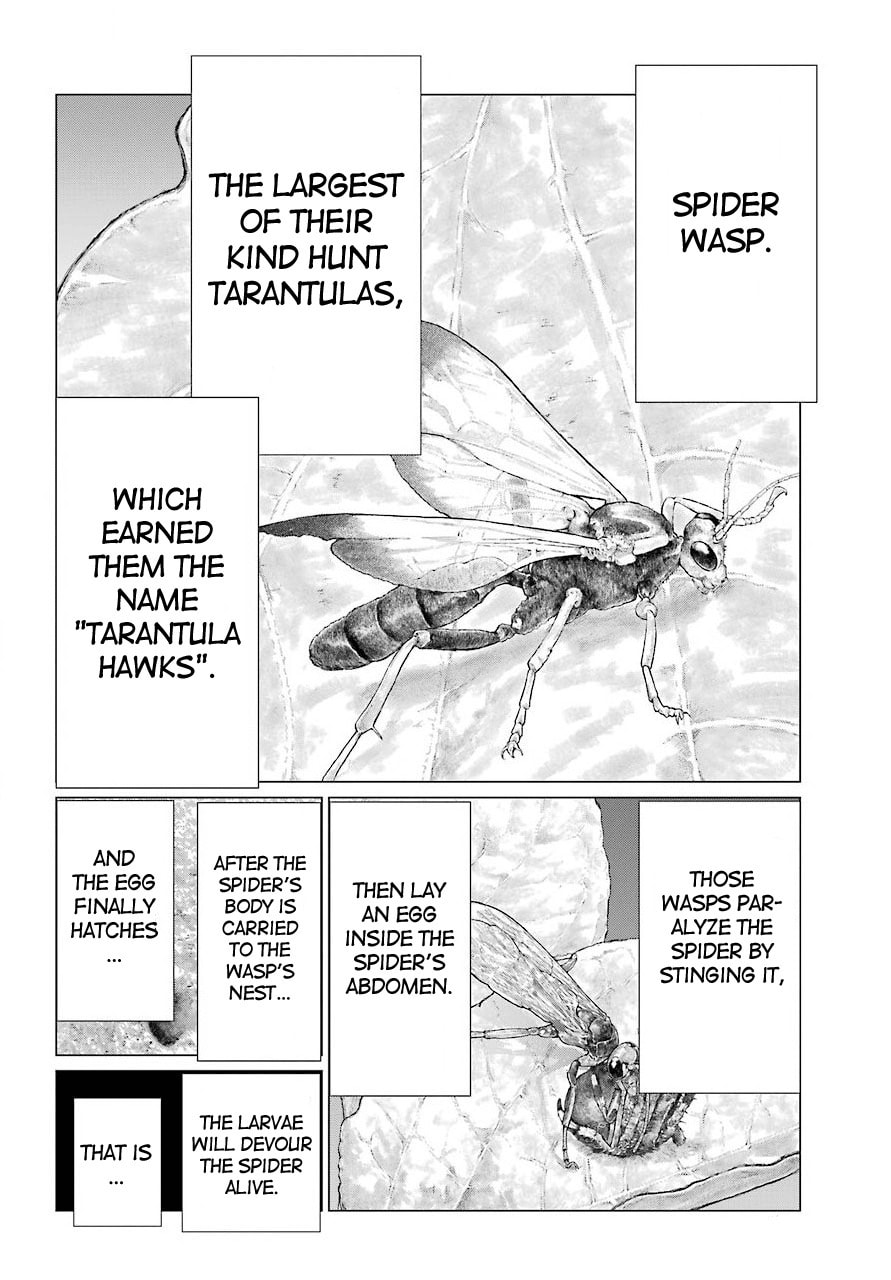 Read Blattodea chapter 10 image 18 on Lezhin