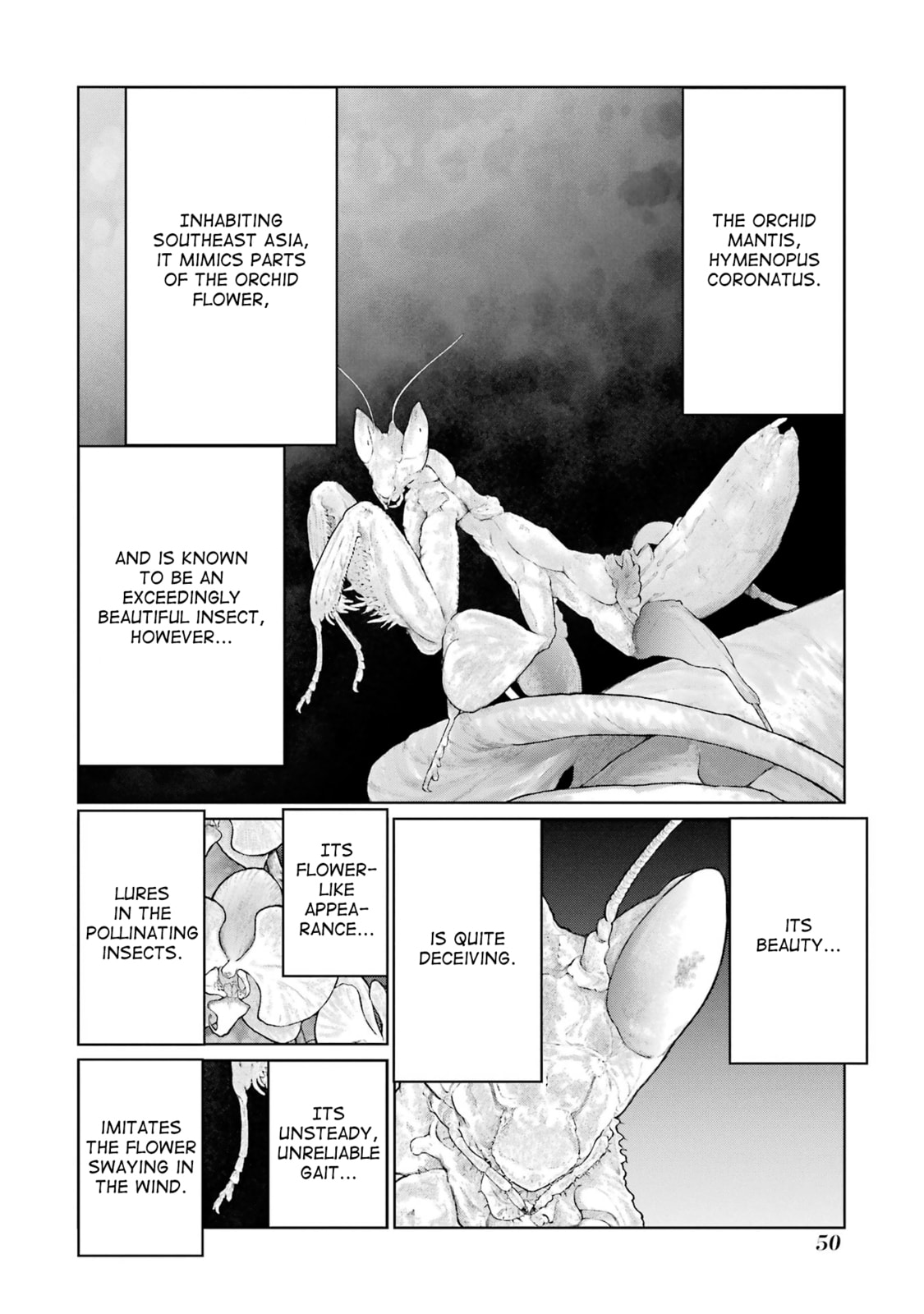 Read Blattodea chapter 15 image 9 on Lezhin