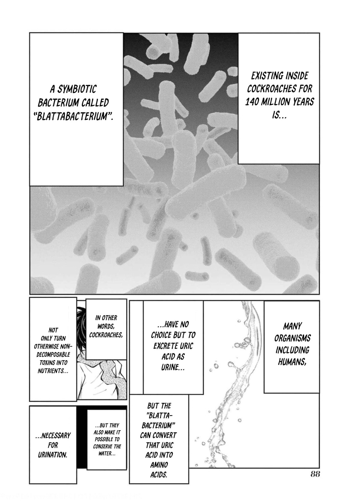 Read Blattodea chapter 16 image 19 on Lezhin
