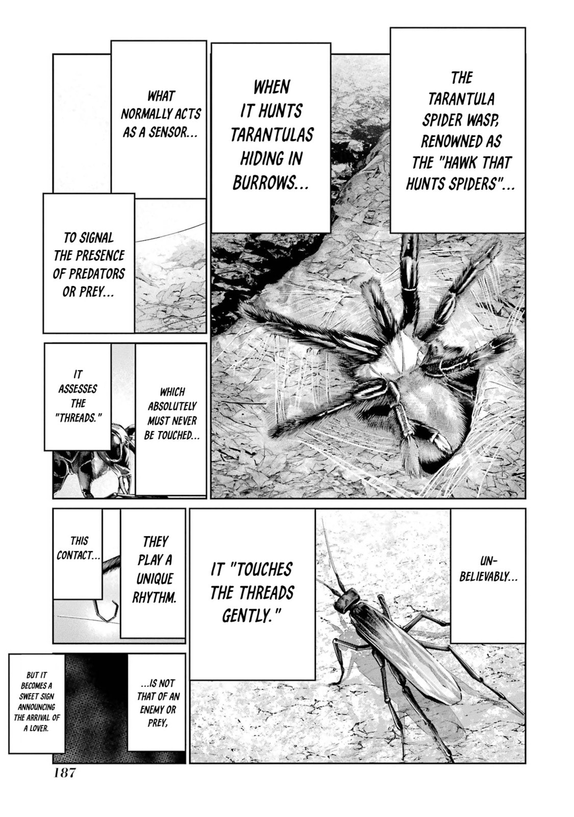 Read Blattodea chapter 19 image 16 on Lezhin