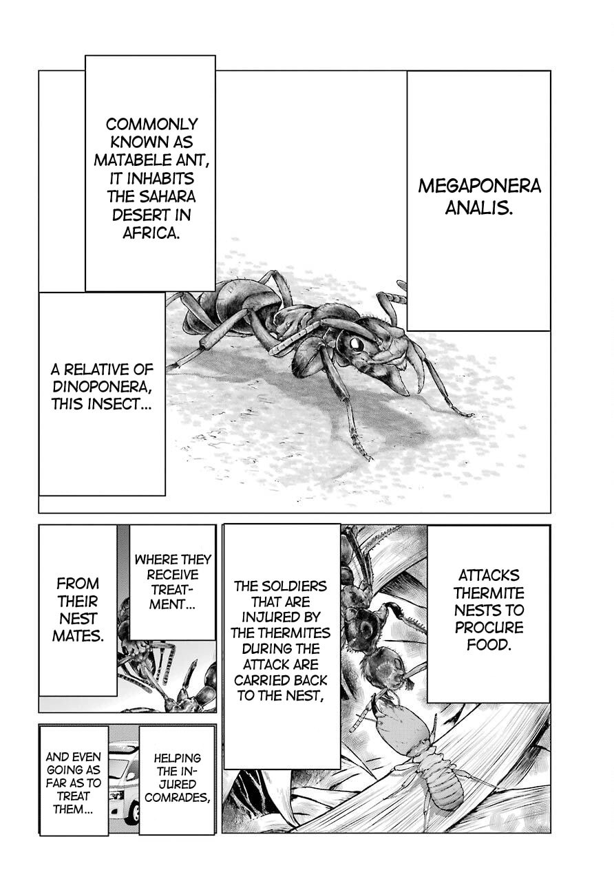 Read Blattodea chapter 4 image 30 on Lezhin