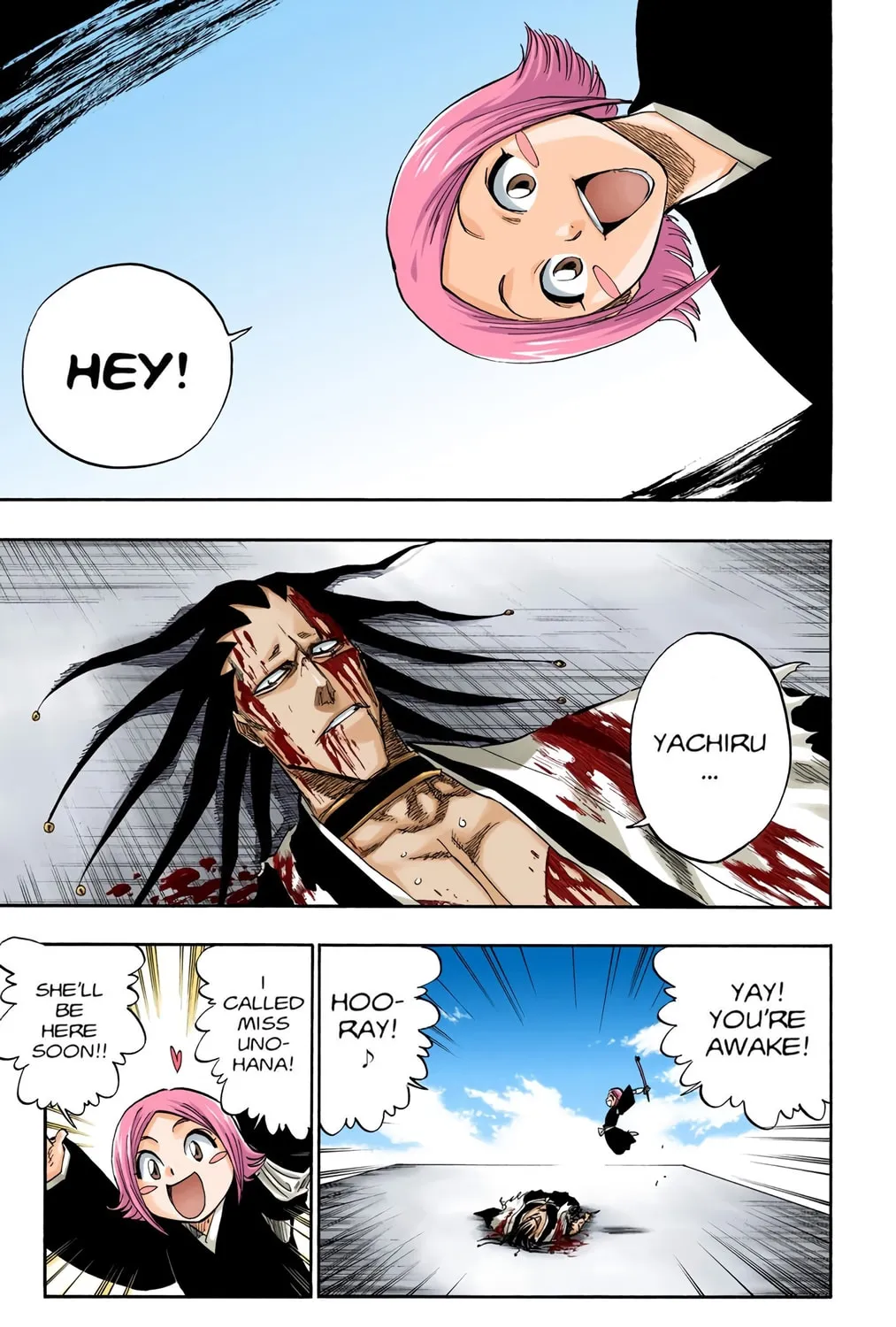 Read Bleach (Colored) chapter 114 image 12 on Lezhin