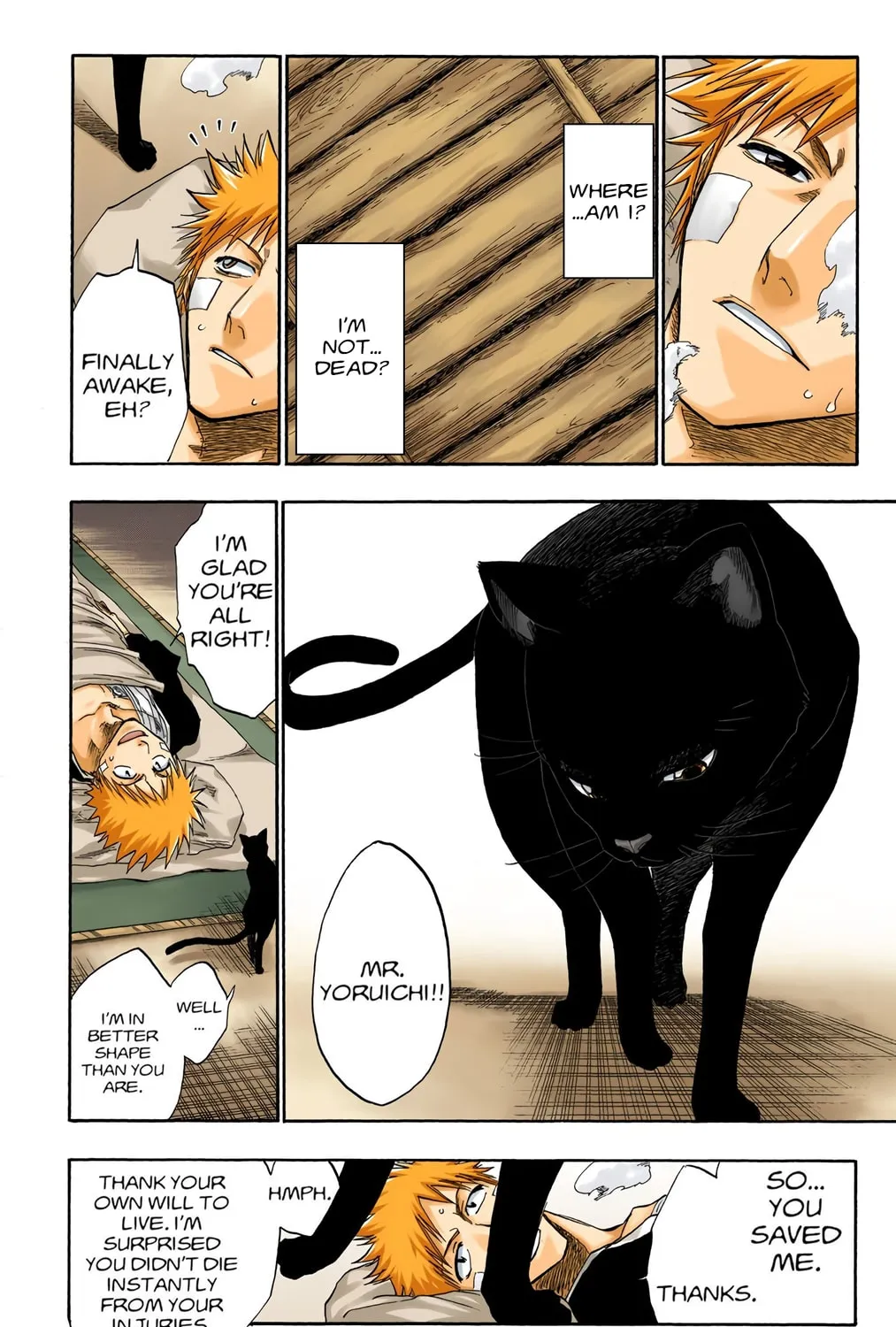 Read Bleach (Colored) chapter 116 image 28 on Lezhin