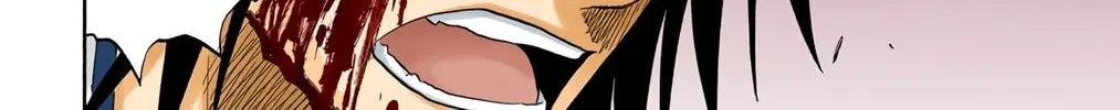 Read Bleach (Colored) chapter 130.5 image 47 on Lezhin