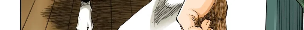 Read Bleach (Colored) chapter 130 image 35 on Lezhin