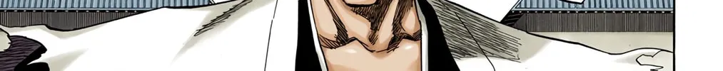 Read Bleach (Colored) chapter 139 image 13 on Lezhin