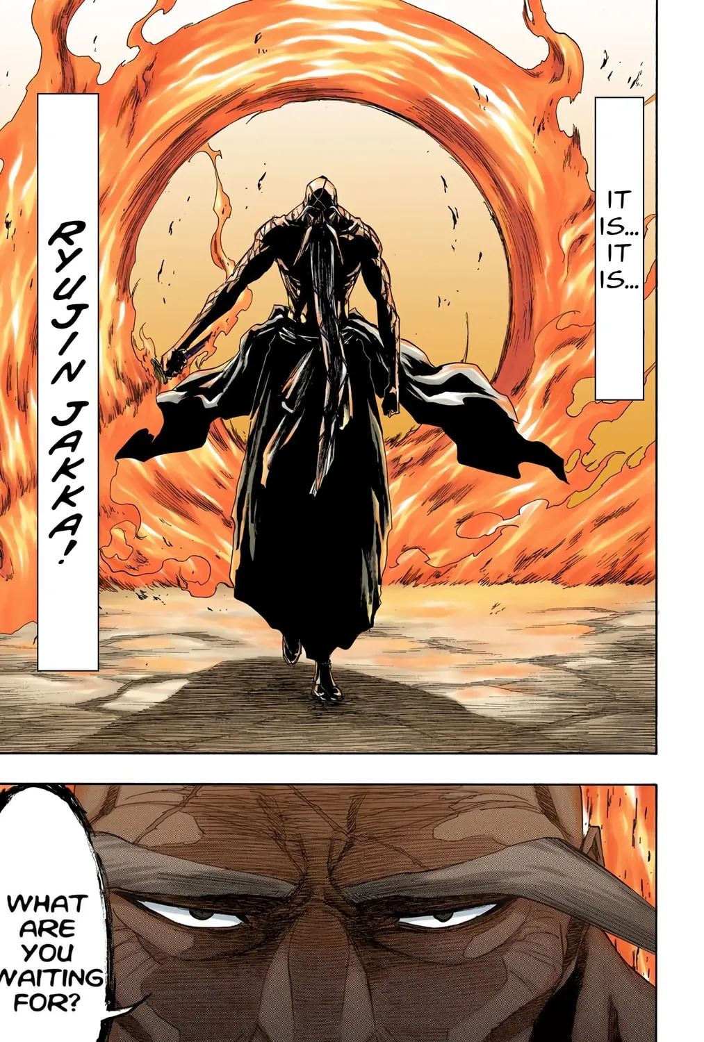 Read Bleach (Colored) chapter 156 image 14 on Lezhin