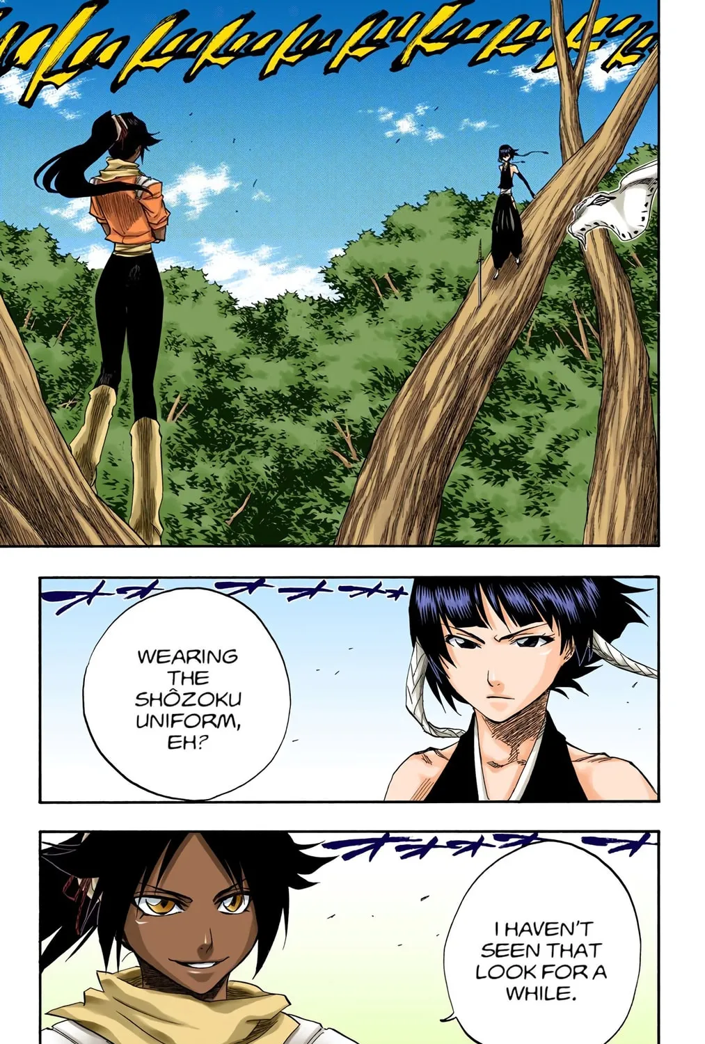 Read Bleach (Colored) chapter 157 image 12 on Lezhin