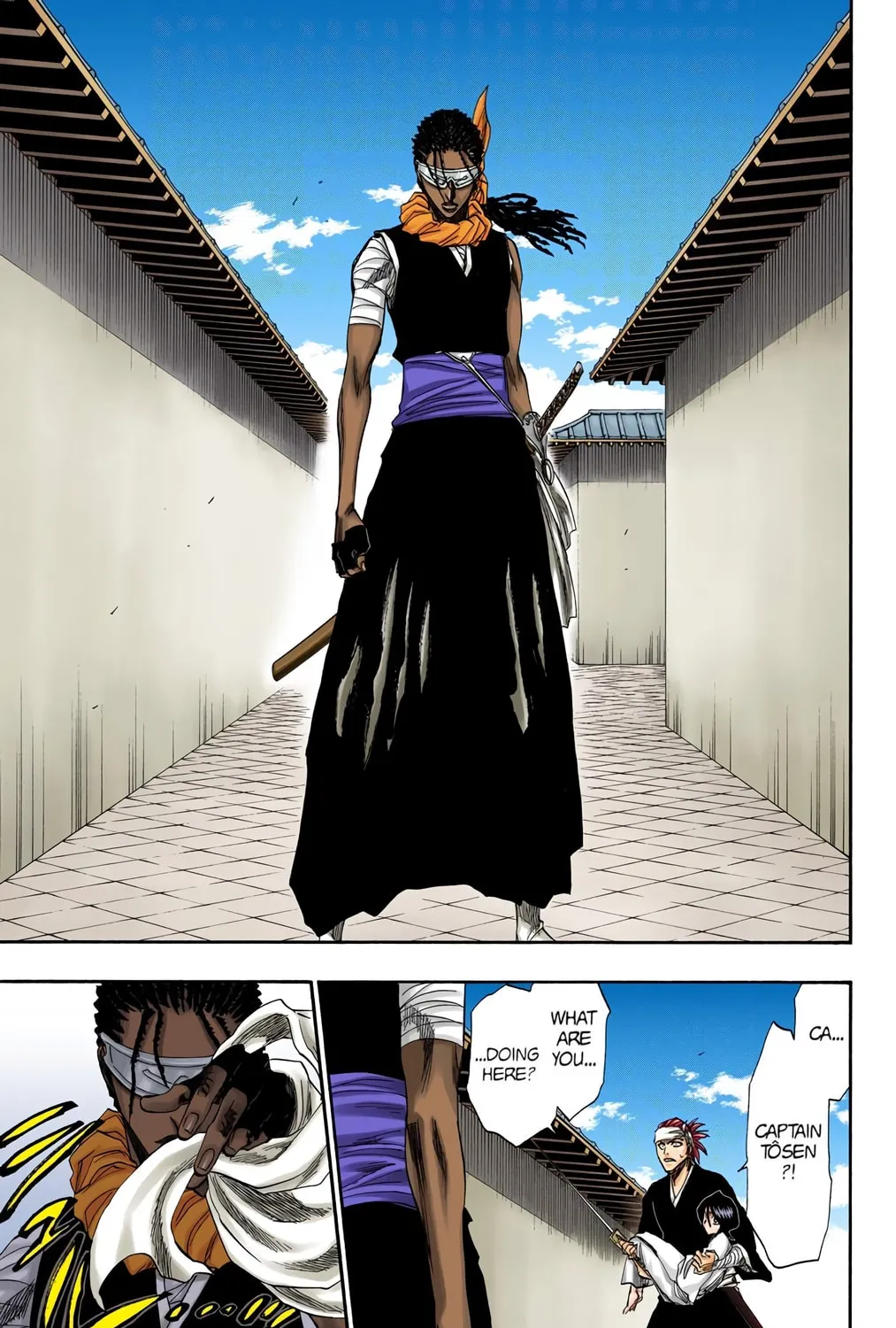 Read Bleach (Colored) chapter 171 image 28 on Lezhin