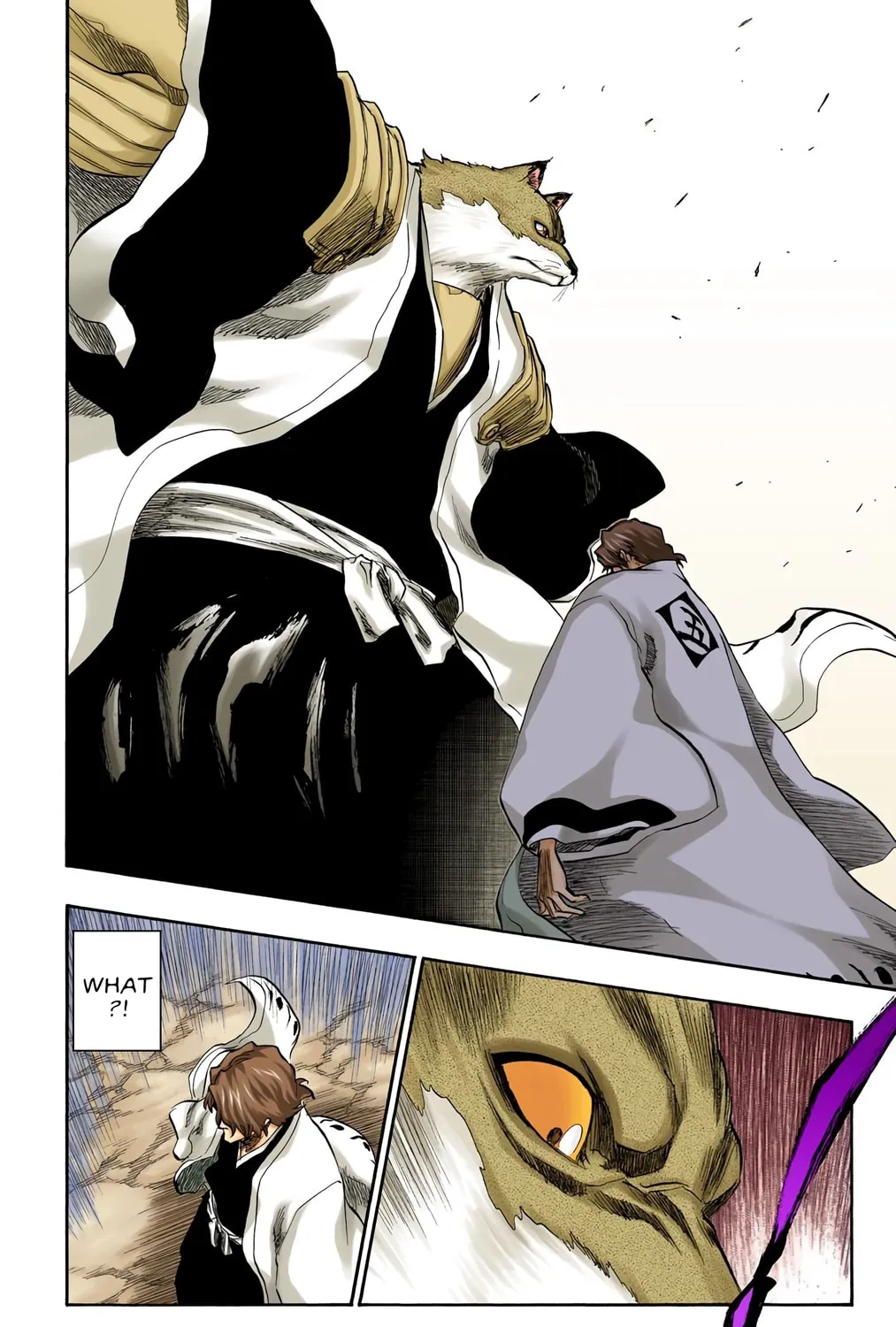 Read Bleach (Colored) chapter 176 image 18 on Lezhin