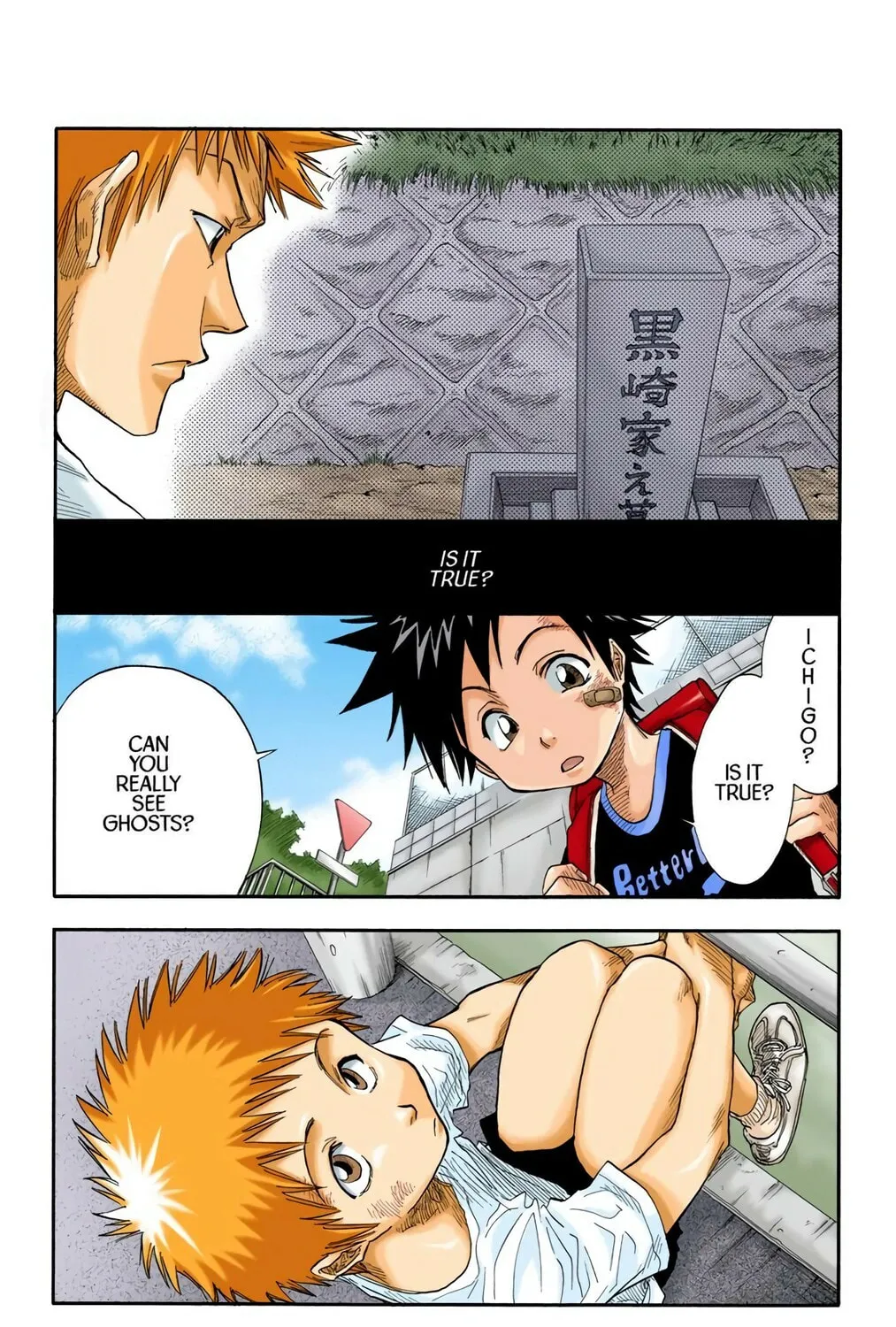 Read Bleach (Colored) chapter 19 image 10 on Lezhin