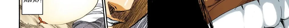 Read Bleach (Colored) chapter 193 image 29 on Lezhin