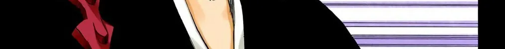 Read Bleach (Colored) chapter 201 image 9 on Lezhin