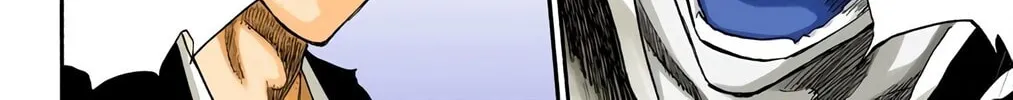 Read Bleach (Colored) chapter 221 image 31 on Lezhin