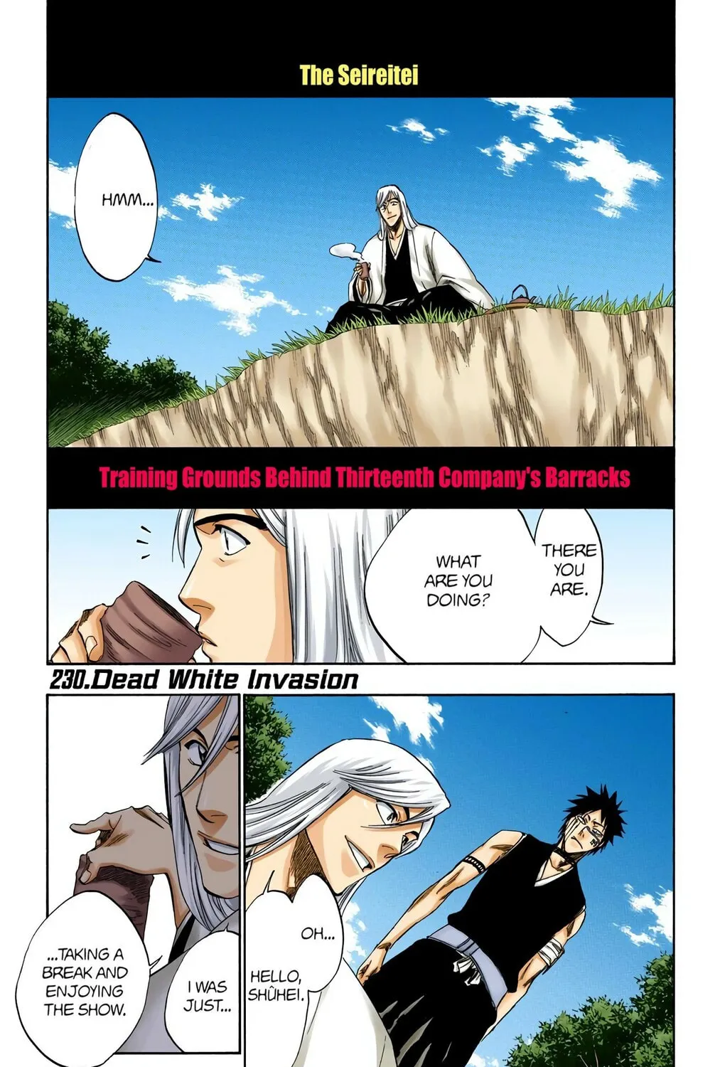 Read Bleach (Colored) chapter 230 image 0 on Lezhin