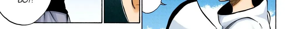 Read Bleach (Colored) chapter 231 image 33 on Lezhin