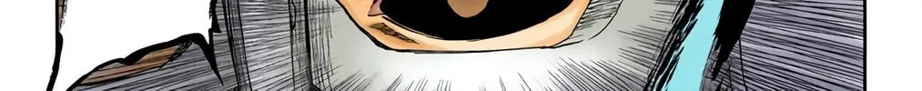 Read Bleach (Colored) chapter 236 image 25 on Lezhin
