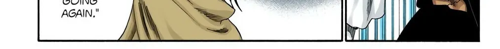 Read Bleach (Colored) chapter 247 image 15 on Lezhin
